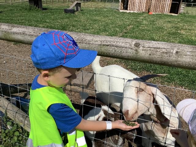 Reception’s visit to Atwell Farm