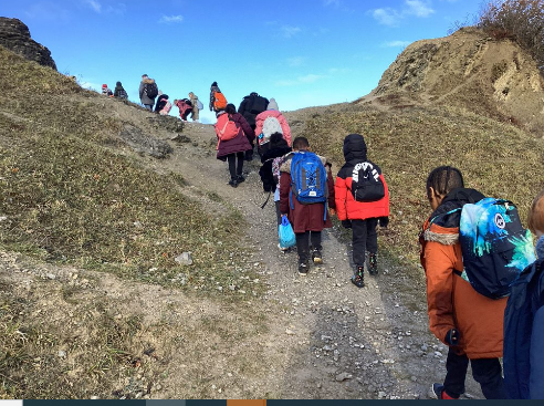 Y4’s Trip to Wren’s Nest